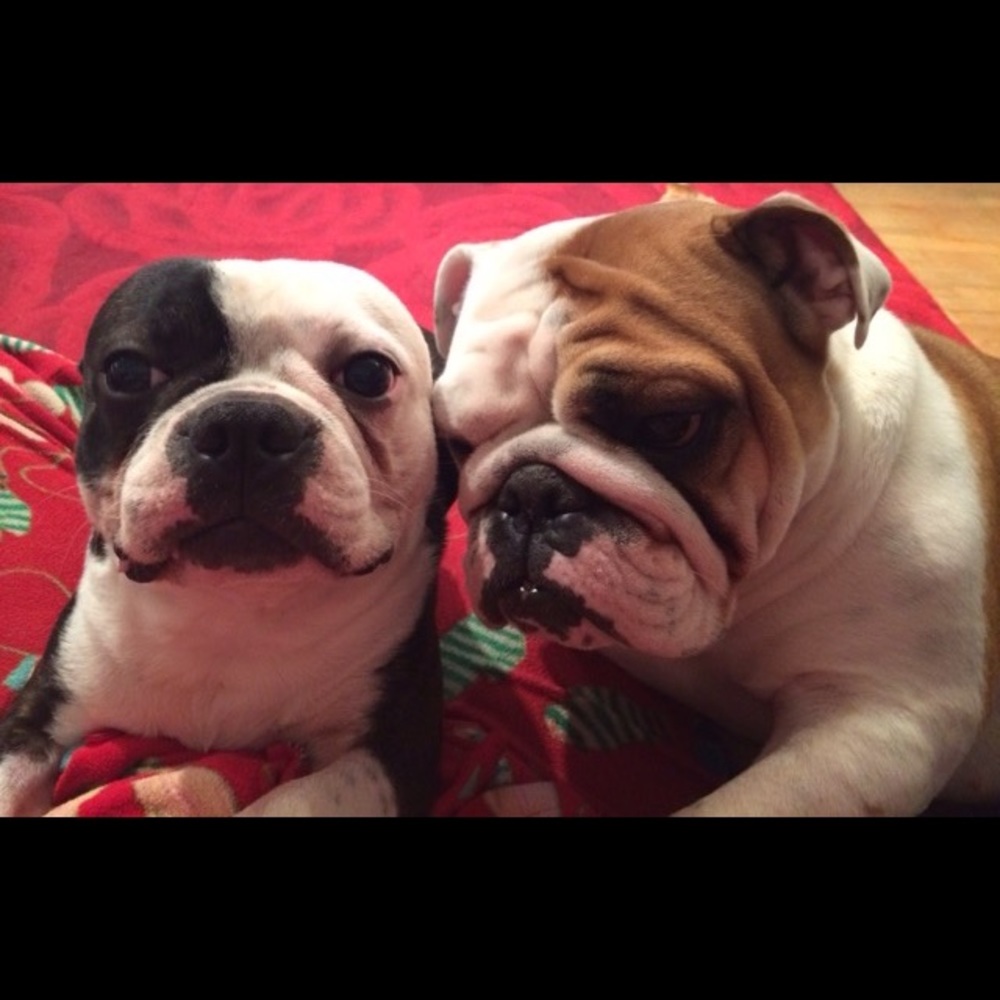 Meet your Posher, Sonya